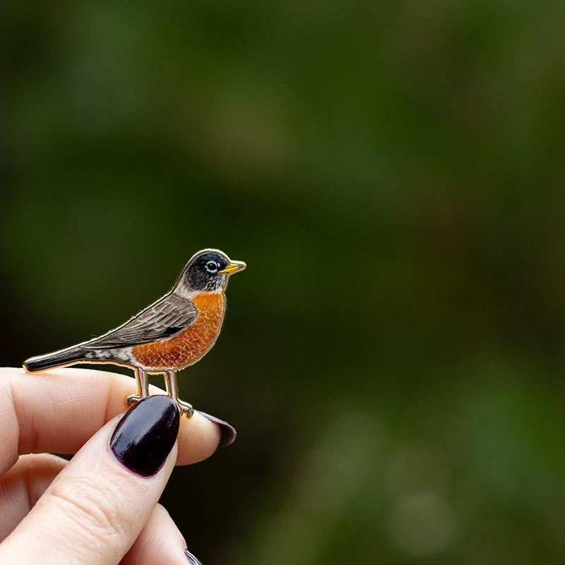 American Robin Bird Enamel Pin | Connecticut, Michigan, Wisconsin State Bird