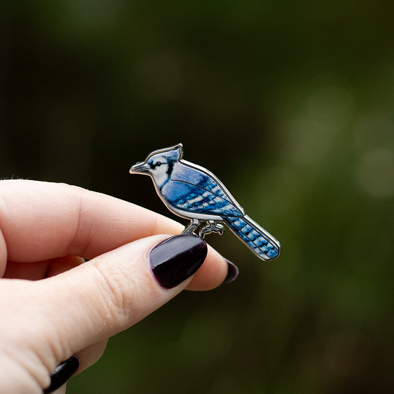 Blue Jay Bird Enamel Pin