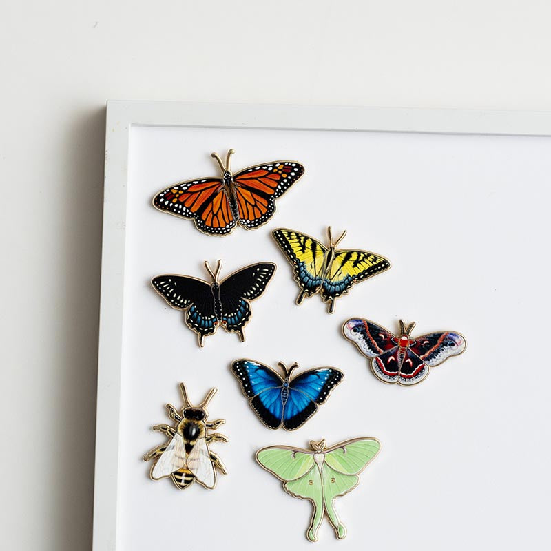 Black Swallowtail Butterfly Enamel Pin | Oklahoma and New Jersey State Insect