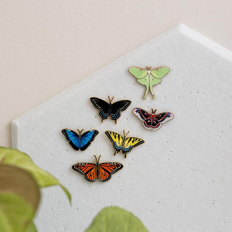 Black Swallowtail Butterfly Enamel Pin | Oklahoma and New Jersey State Insect