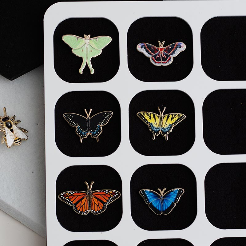 Black Swallowtail Butterfly Enamel Pin | Oklahoma and New Jersey State Insect