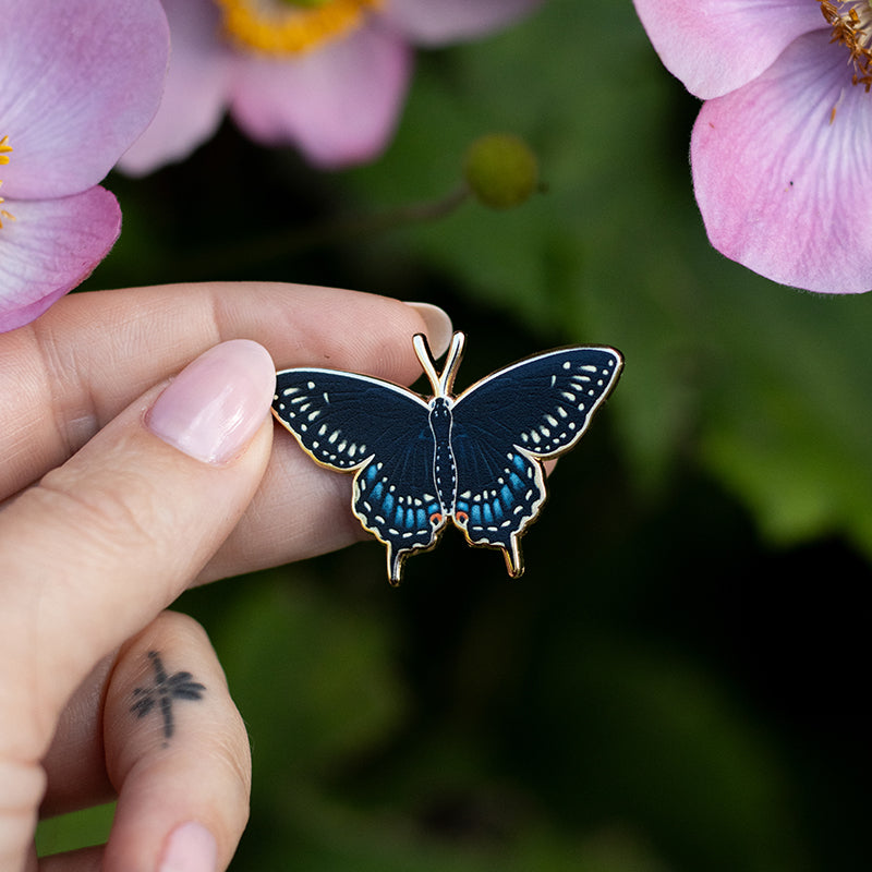 Black Swallowtail Butterfly Enamel Pin | Oklahoma and New Jersey State Insect