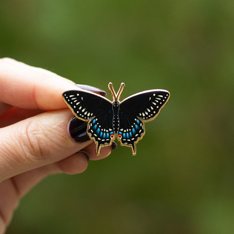 Black Swallowtail Butterfly Enamel Pin | Oklahoma and New Jersey State Insect