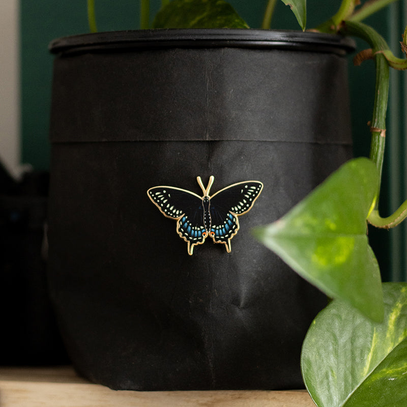 Black Swallowtail Butterfly Enamel Pin | Oklahoma and New Jersey State Insect