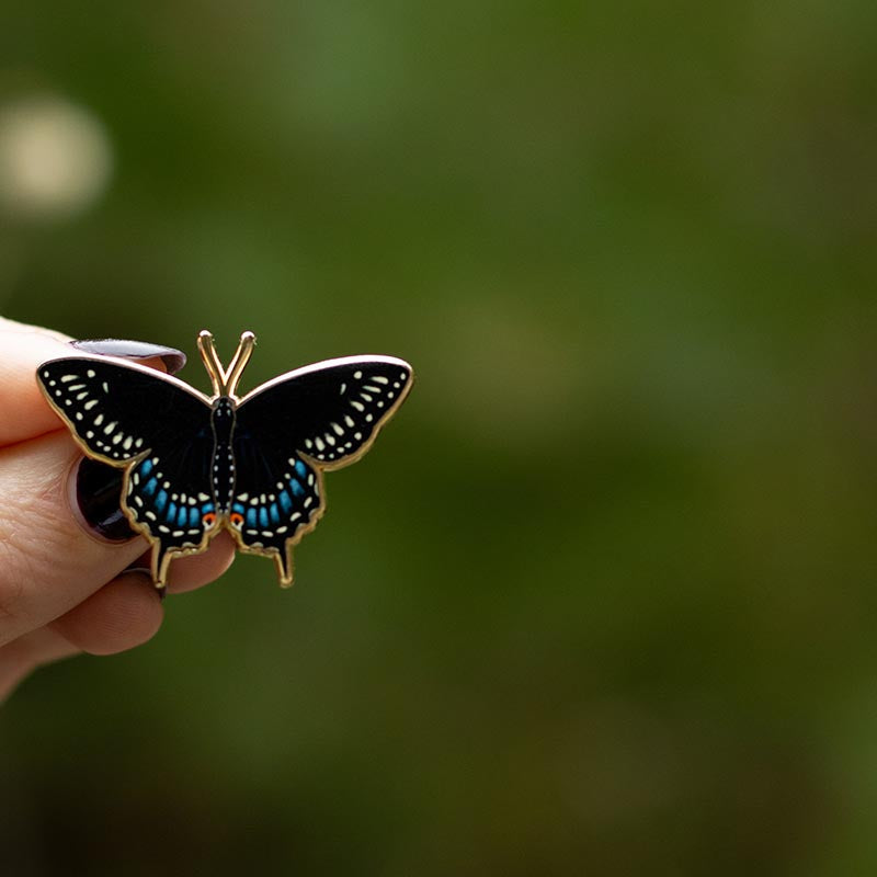 Black Swallowtail Butterfly Enamel Pin | Oklahoma and New Jersey State Insect