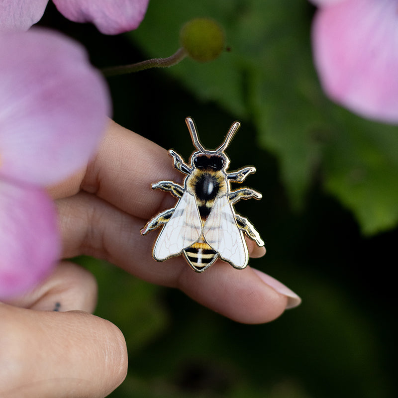 European Honey Bee Enamel Pin | Arkansas, Georgia, Kansas, Louisiana, Maine, Mississippi, Missouri, Nebraska, New Jersey, North Carolina, South Dakota, Tennessee, Utah, Vermont, Wisconsin State Insect