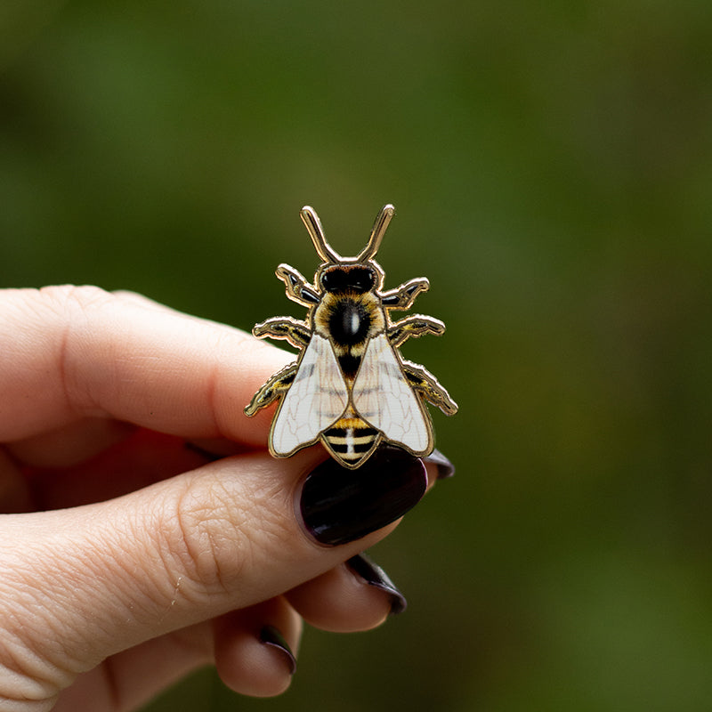 European Honey Bee Enamel Pin | Arkansas, Georgia, Kansas, Louisiana, Maine, Mississippi, Missouri, Nebraska, New Jersey, North Carolina, South Dakota, Tennessee, Utah, Vermont, Wisconsin State Insect