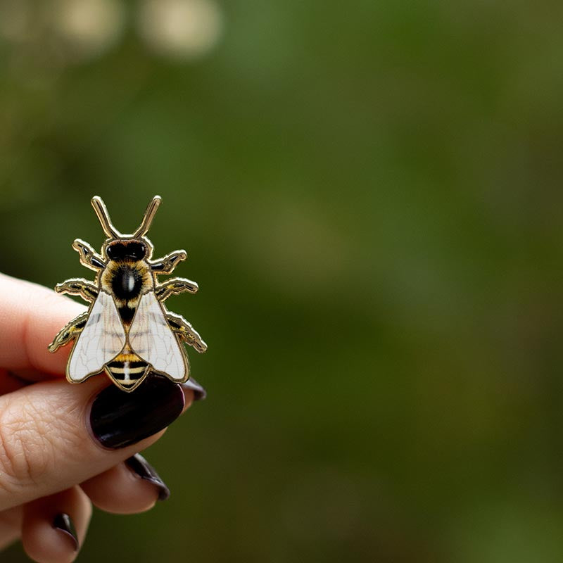 European Honey Bee Enamel Pin | Arkansas, Georgia, Kansas, Louisiana, Maine, Mississippi, Missouri, Nebraska, New Jersey, North Carolina, South Dakota, Tennessee, Utah, Vermont, Wisconsin State Insect