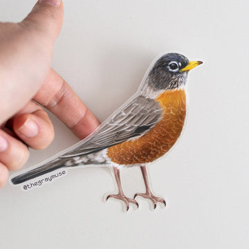 American Robin Bird Matte Sticker | Connecticut, Michigan, Wisconsin State Bird