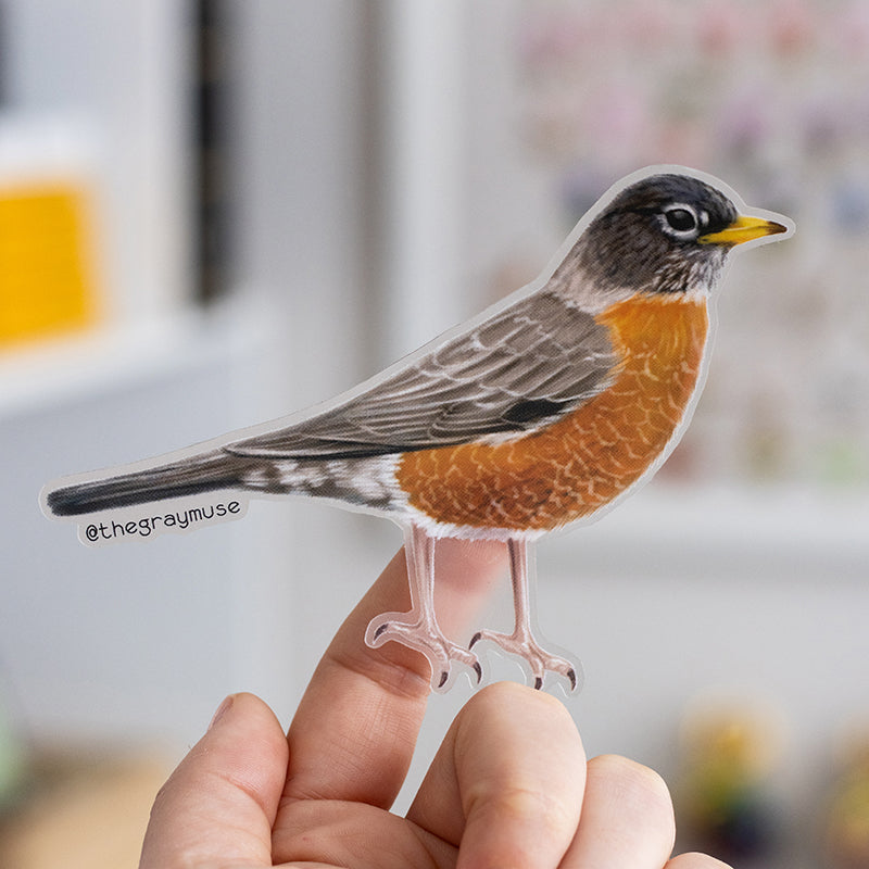 American Robin Bird Matte Sticker | Connecticut, Michigan, Wisconsin State Bird