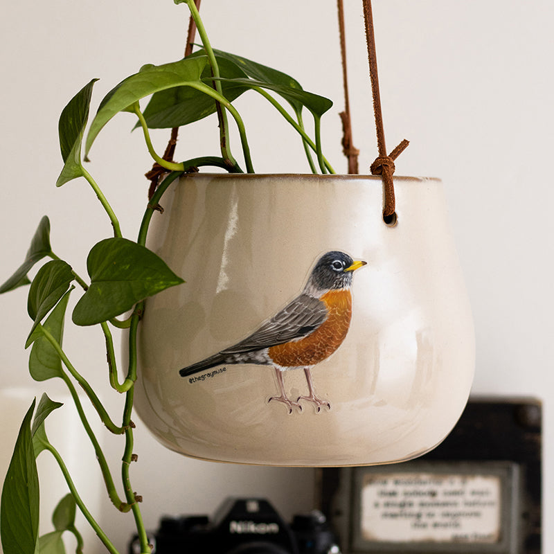 American Robin Bird Matte Sticker | Connecticut, Michigan, Wisconsin State Bird