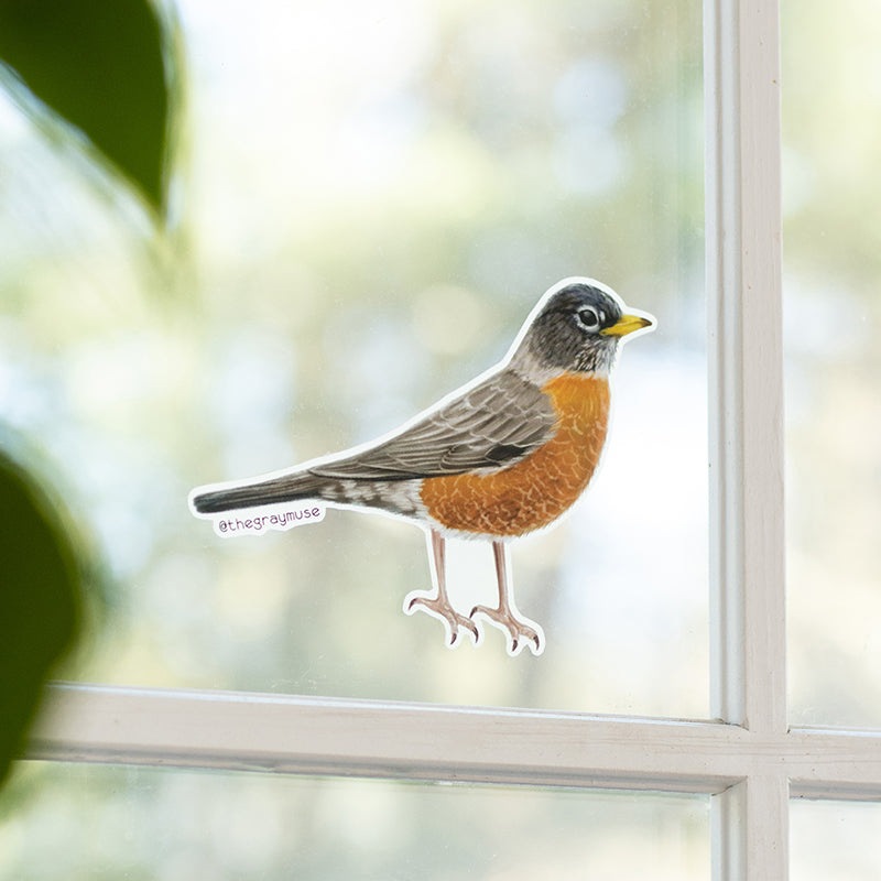 American Robin Bird Matte Sticker | Connecticut, Michigan, Wisconsin State Bird
