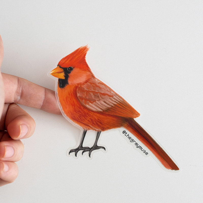 Northern Red Cardinal Bird Matte Sticker | Illinois, Indiana, Kentucky, North Carolina, Ohio, Virginia, West Virginia State Bird