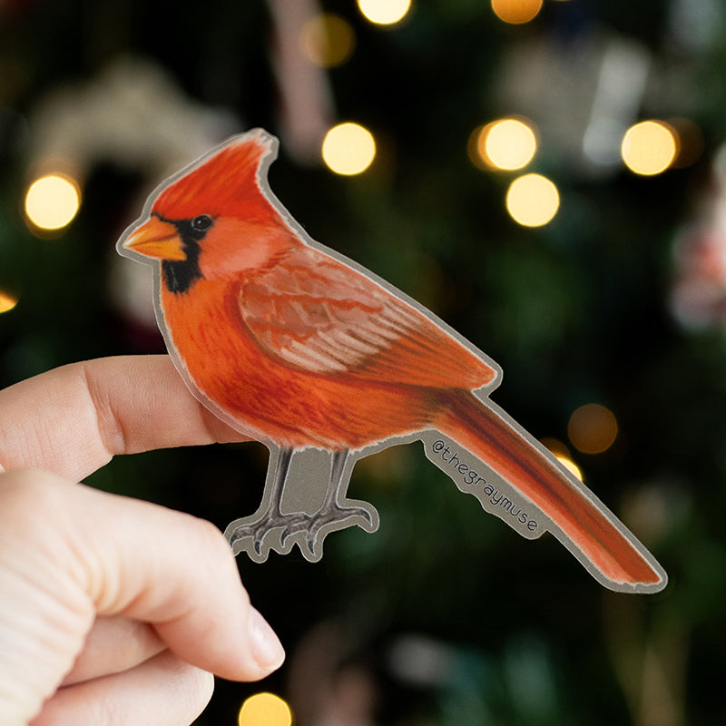 Northern Red Cardinal Bird Matte Sticker | Illinois, Indiana, Kentucky, North Carolina, Ohio, Virginia, West Virginia State Bird