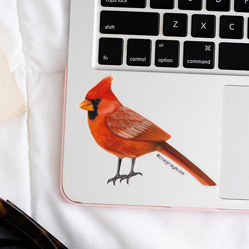 Northern Red Cardinal Bird Matte Sticker | Illinois, Indiana, Kentucky, North Carolina, Ohio, Virginia, West Virginia State Bird