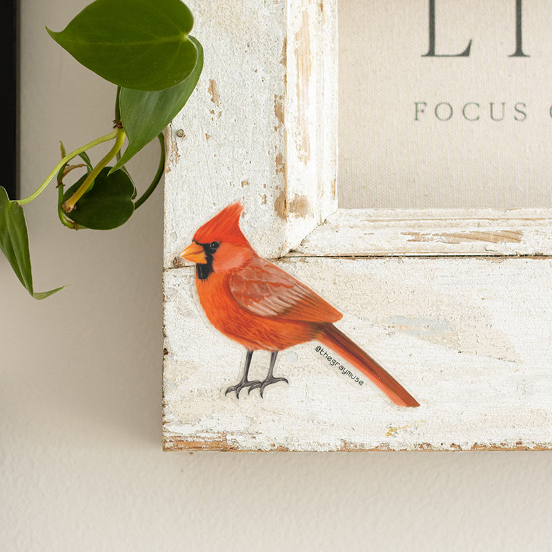 Northern Red Cardinal Bird Matte Sticker | Illinois, Indiana, Kentucky, North Carolina, Ohio, Virginia, West Virginia State Bird