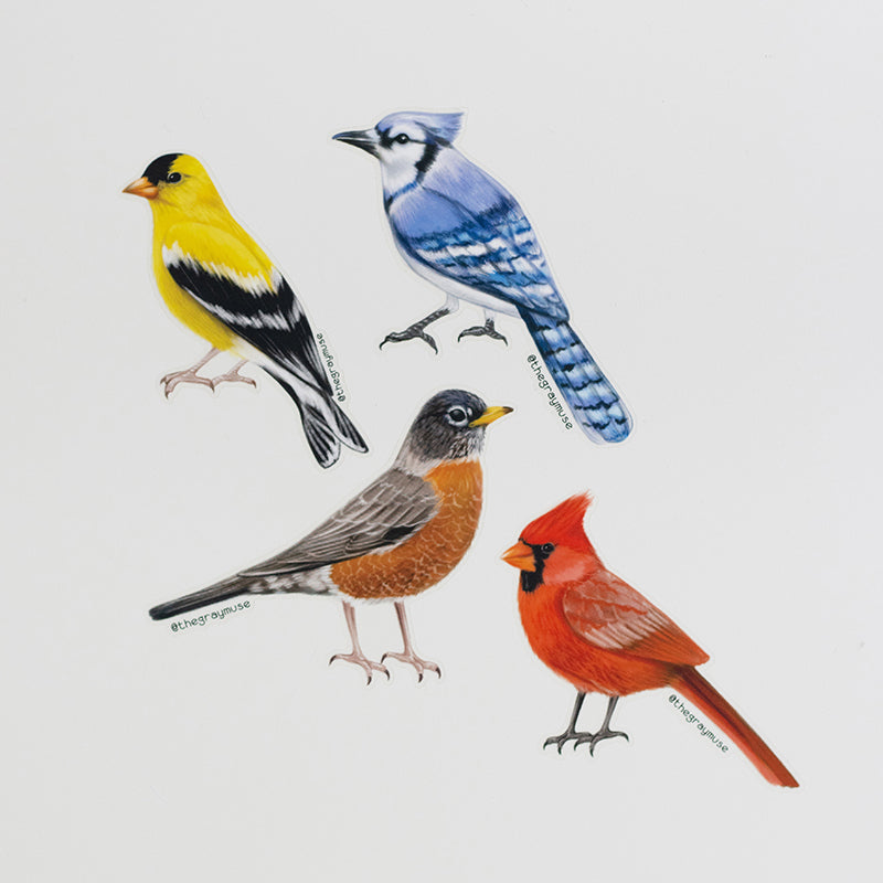 Northern Red Cardinal Bird Matte Sticker | Illinois, Indiana, Kentucky, North Carolina, Ohio, Virginia, West Virginia State Bird