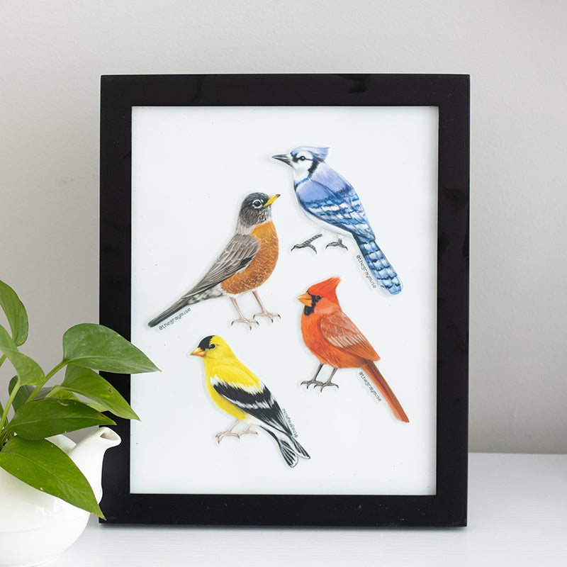 American Robin Bird Matte Sticker | Connecticut, Michigan, Wisconsin State Bird