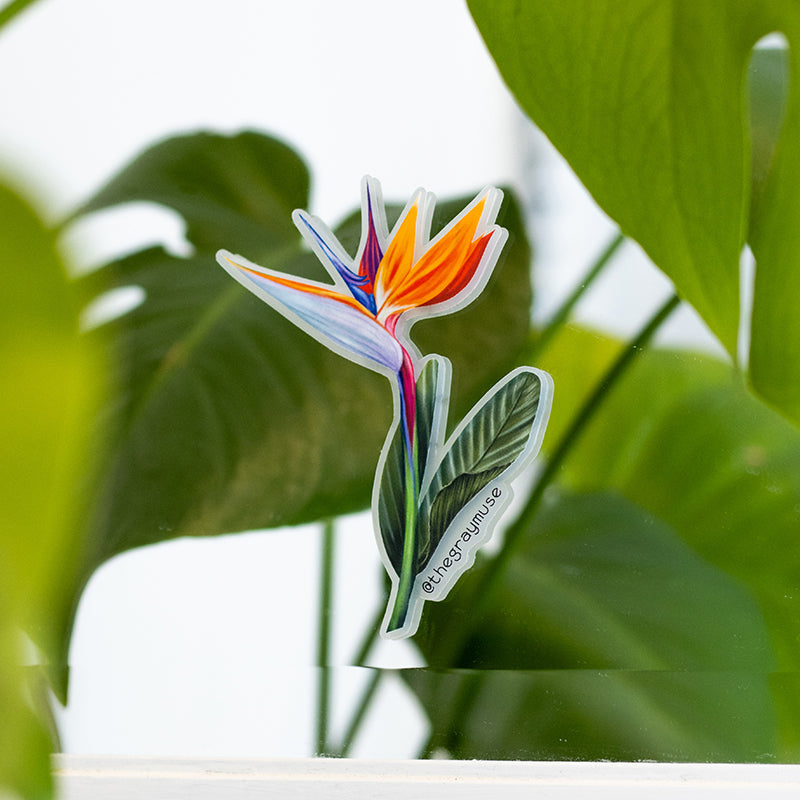 Bird of Paradise Floral Matte Sticker | Official Flower of Los Angeles
